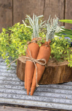 Load image into Gallery viewer, Fabric Carrots