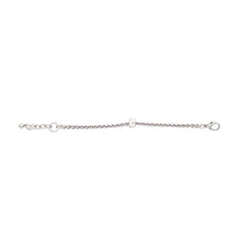 Load image into Gallery viewer, Pewter 2935
